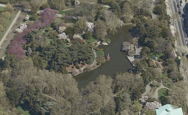 japanese hill and pond garden: japanese hill and pond garden